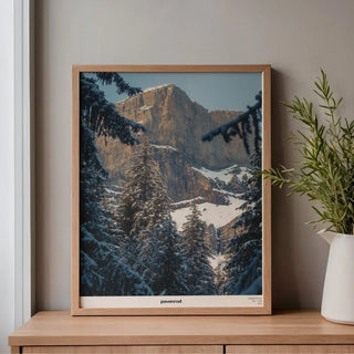 Affiche Massif du Faucigny - Pavenrod